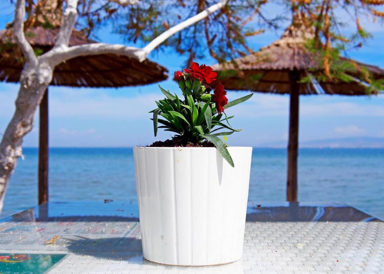 Rena'S Traditional Aegean House By The Sea Peraía 外观 照片